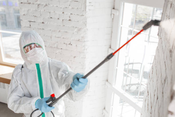 Best Biohazard Mold Removal  in Whitaker, PA